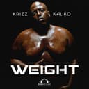 Weight cover art
